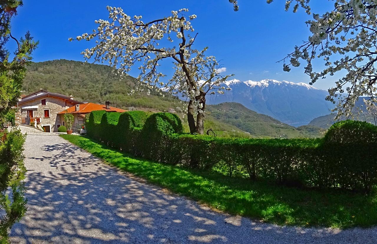 Casa Belvedere Garden By Gardadomusmea Tremosine Buitenkant foto
